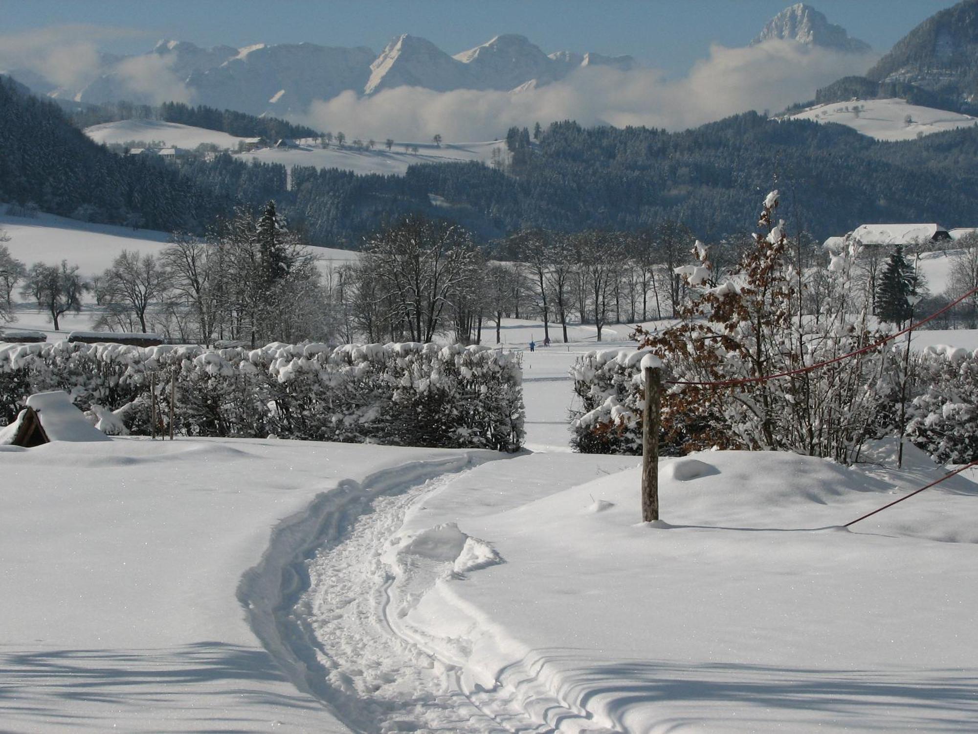 Villa Sonnwend National Park Lodge Rossleithen Zewnętrze zdjęcie